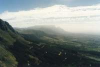 Tokai Forest from Constantiaberg