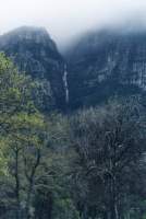 waterfall in Window Gorge and trees