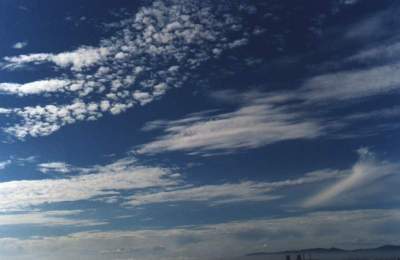 diverse range of cirrus with fog