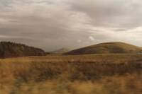 sunlit Scots hillside