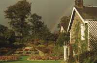 rainbow over flower garden