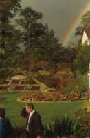 rainbow over flower garden