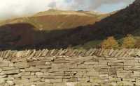 hillside with dry stone wall