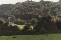sunlight on tree covered hillside