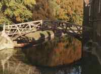autumn trees behind bridge over River Cam