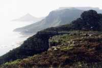 Lion's Head and back of Table Mountain from Karbonkelberg