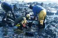 closeup of workers cleaning oil-spill