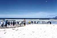fisherman trek netting near Muizenberg