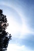 cirrus halo and tree