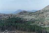 trees being cut around Silvermine Reservoir