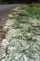hailstones next to road at Jonkershoek