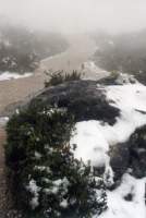snowy rock and path on summit of Table Mountain