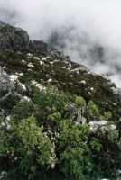 snow and edge of Table Mountain summit