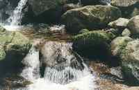 river over rocks in Newlands Forest