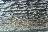 regular shaped altocumulus patterns