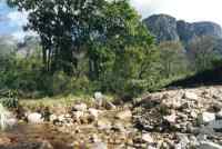 Liesbeeck river at Boschenheuwel