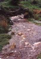 upper Liesbeeck River