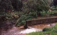 mid Liesbeeck Walkway