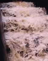 water ladder close-up
