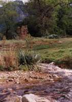 Window Gorge above upper Liesbeeck River