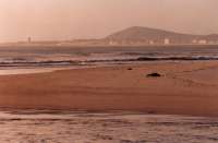 Milnerton Beach looking towards Blouberg Hill