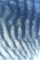 altocumulus billow clouds