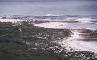 coastline in Cape of Good Hope Reserve