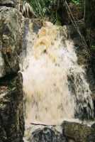Waterfall in Silvermine Reserve
