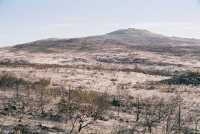 Burned area from Scarborough