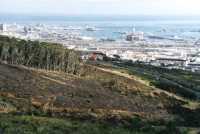 burned slopes of Devil's Peak with Cape Town Harbour