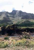 Devil's Peak with burned area and De Waal Drive