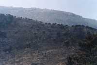 burned area on Chapmans Peak from Hout Bay side