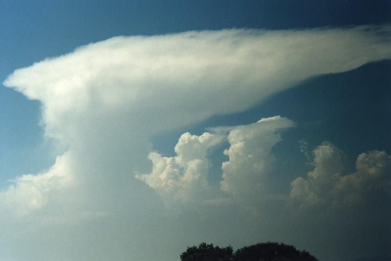 cumulonimbus heads
