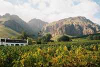 Paarl vineyards and mountains