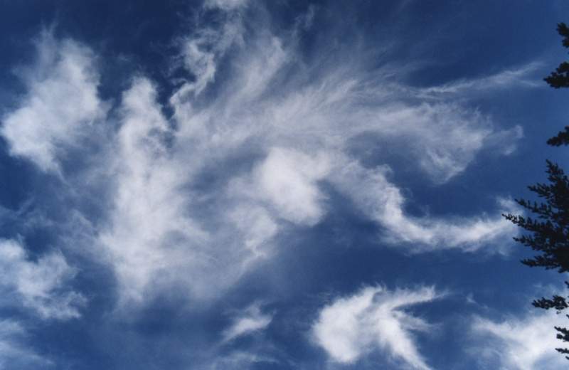 cirrus shape