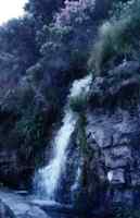 waterfall on Boyes Drive