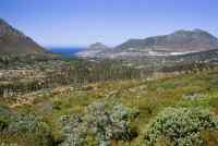 Hout Bay and Karbonkelberg from back of Table Mountain