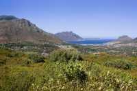 Constantiaberg and Hout Bay from back of Table Mountain