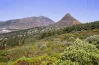 Karbonkelberg and Little Lion's Head from back of Table Mountain
