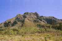 Devil's Peak from edge of Newlands Forest