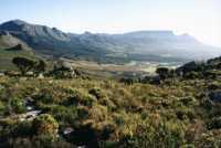 Silvermine towards Tokai and Constantiaberg, with Table Mountain