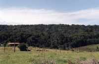 farm on edge of Knysna Forest
