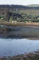 reflections in Knysna lagoon at low tide