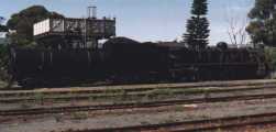steam engine at Knysna station