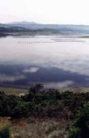 reflection in Knysna lagoon from steam train