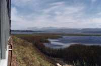 lake past Sedgefield with reeds with clouds