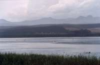 lake near Sedgefield with clouds