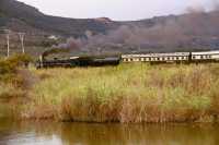 Spier steam train passing Zandvlei wetland