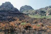 burned slopes of Twelve Apostles