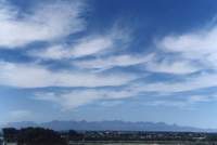 cirrus patterns over Cape Flats